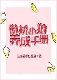 傲娇小狼养成手册