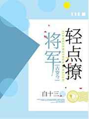 将军，轻点撩