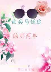我被兵马俑追的那两年