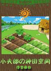 小夫郎的种田空间