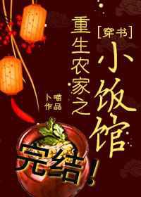 重生农家之小饭馆