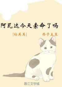 阿瓦达今天索命了吗