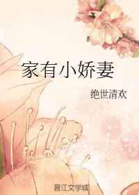 家有小娇妻