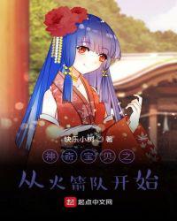 神奇宝贝之从火箭队开始