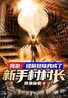 网游：提前登陆我成了新手村村长