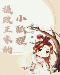 摄政王家的小狐狸