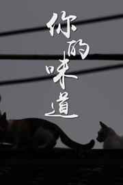你的味道