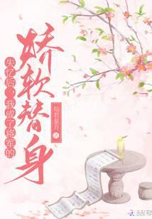 失忆后，我成了将军的娇软替身