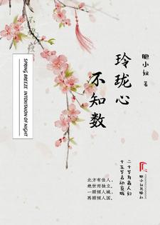 玲珑心不知数