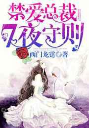 禁爱总裁，7夜守则／总裁大人，7页守则