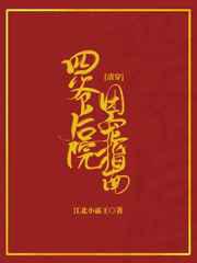 四爷后院团宠指南
