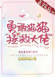 勇敢猫猫，拯救大佬