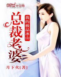 我的极品冰山总裁老婆