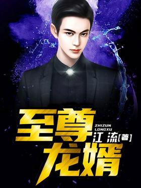 至尊龙婿