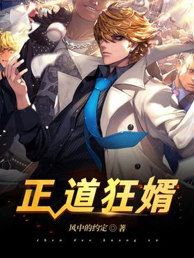 正道狂婿