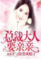 总裁大人慢慢吻