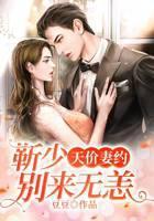 天价妻约：靳少，别来无恙