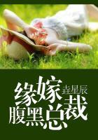 老公每天苏炸了