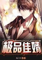极品佳婿