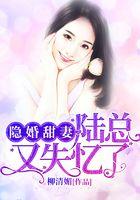 隐婚甜妻：陆总又失忆了