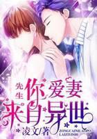 先生，你爱妻来自异世