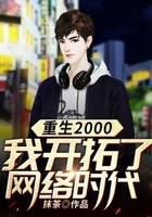 重生2000：我开拓了网络时代
