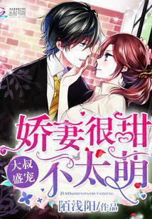 大叔盛宠：娇妻很甜不太萌