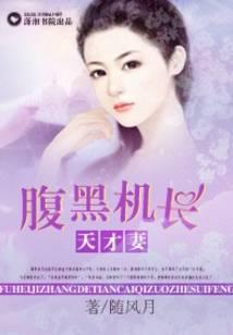 腹黑机长天才妻