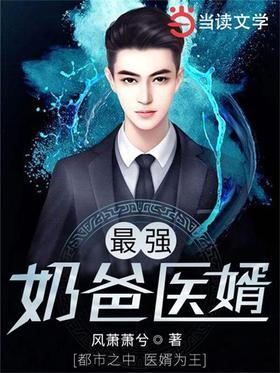 最强奶爸医婿
