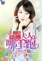 总裁降爱记：夫人哪里跑