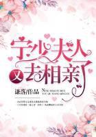 宁少，夫人又去相亲了