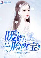 暖婚之一胎两宝
