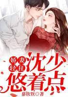 娇妻轻狂：沈少，悠着点