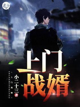 上门战婿