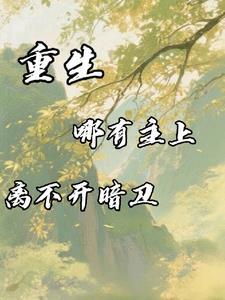 重生，哪有主上离不开暗卫