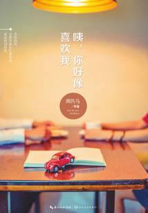 咦，你好像喜欢我