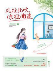 风往北吹，你往南追