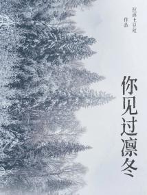 你见过凛冬
