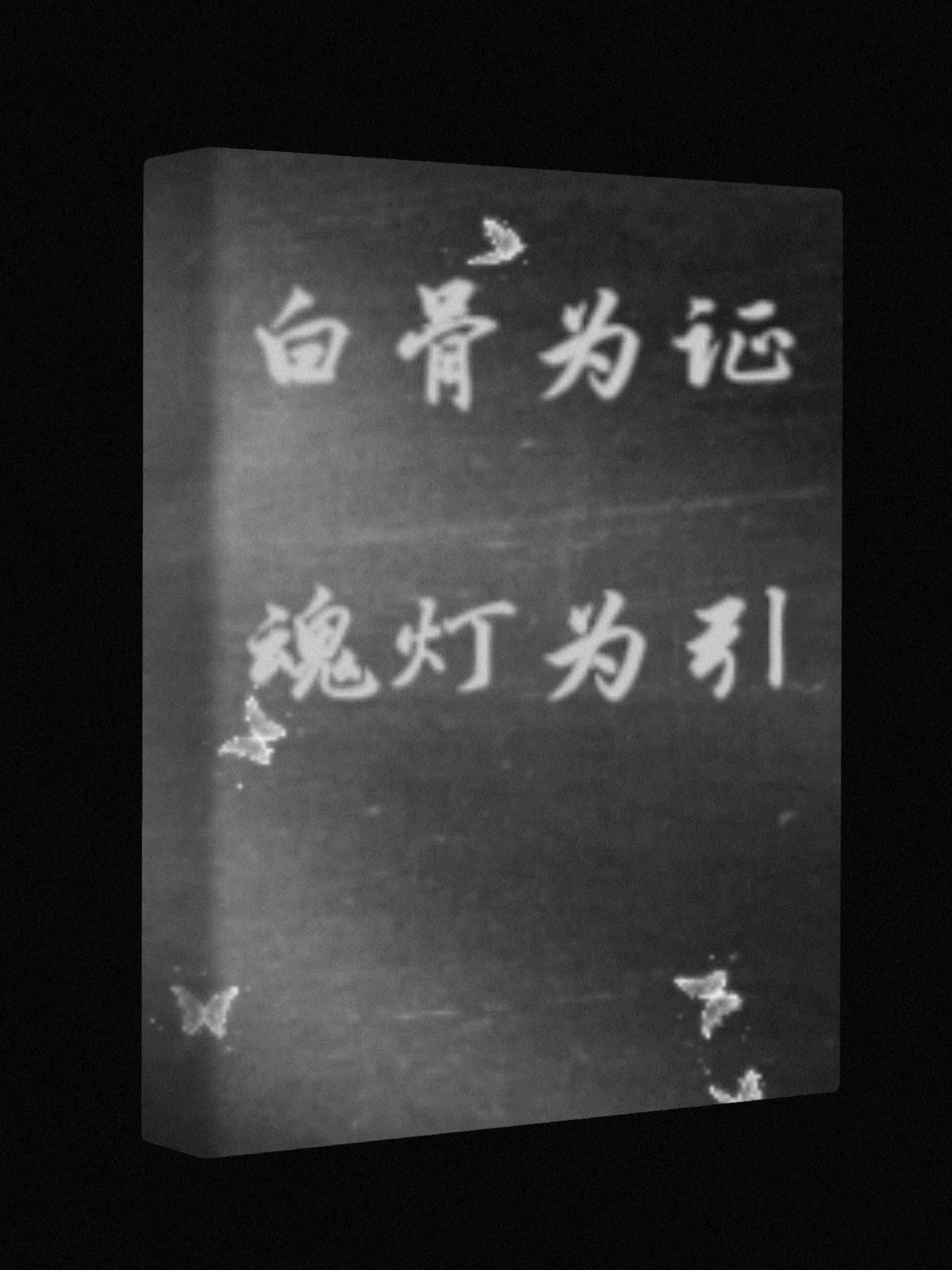 白骨为证，魂灯为引