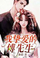 我挚爱的傅先生