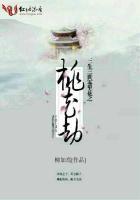 三生三世雾里花之桃花劫