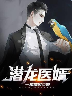 潜龙医婿