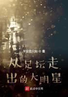 从足坛走出的大明星