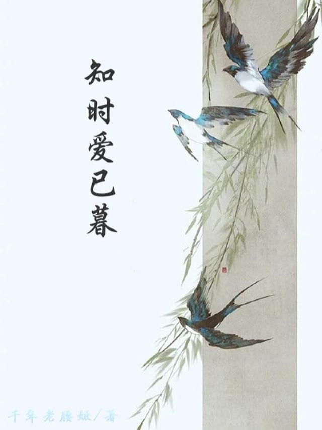 知时爱已暮
