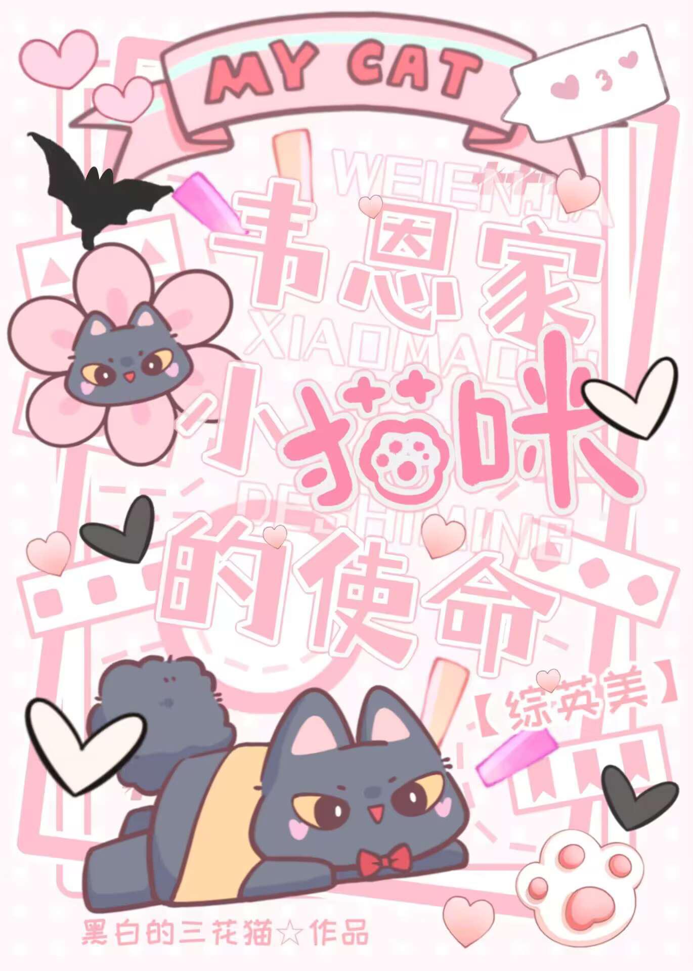 韦恩家小猫咪的使命