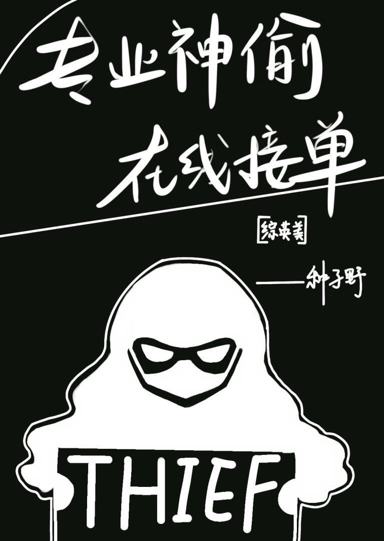 专业神偷，在线接单