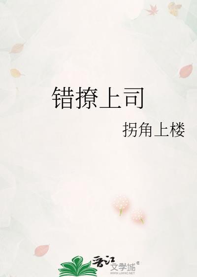 错撩上司