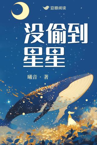 没偷到星星