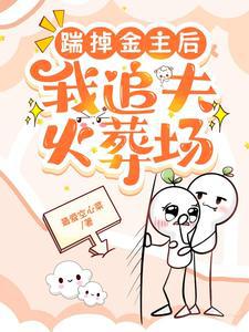 踹掉金主后，我追夫火葬场