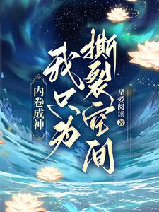 内卷成神，我只为撕裂空间